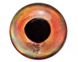3D Epoxy Fish Eyes, Holographic Roach, 12 mm
